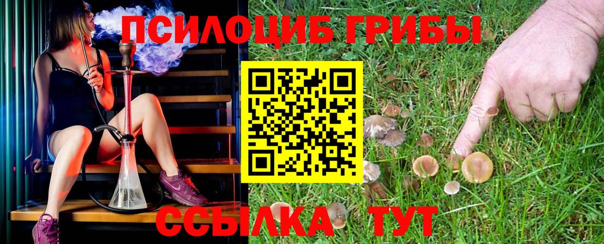 Псилоцибиновые грибы MAGIC MUSHROOMS Ноябрьск