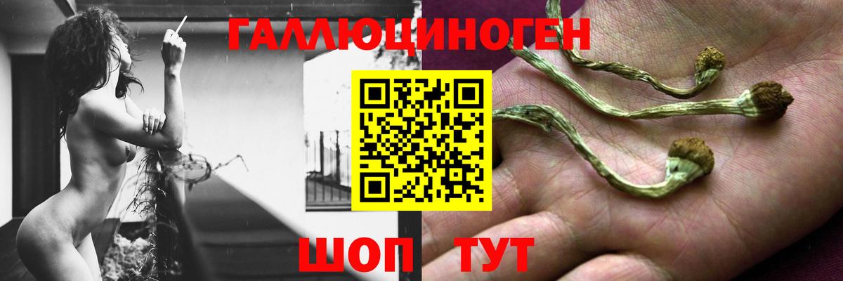 Галлюциногенные грибы Magic Shrooms  Вход с VPN  Ноябрьск 